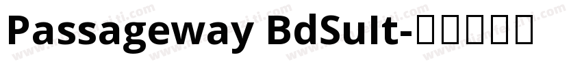 Passageway BdSuIt字体转换